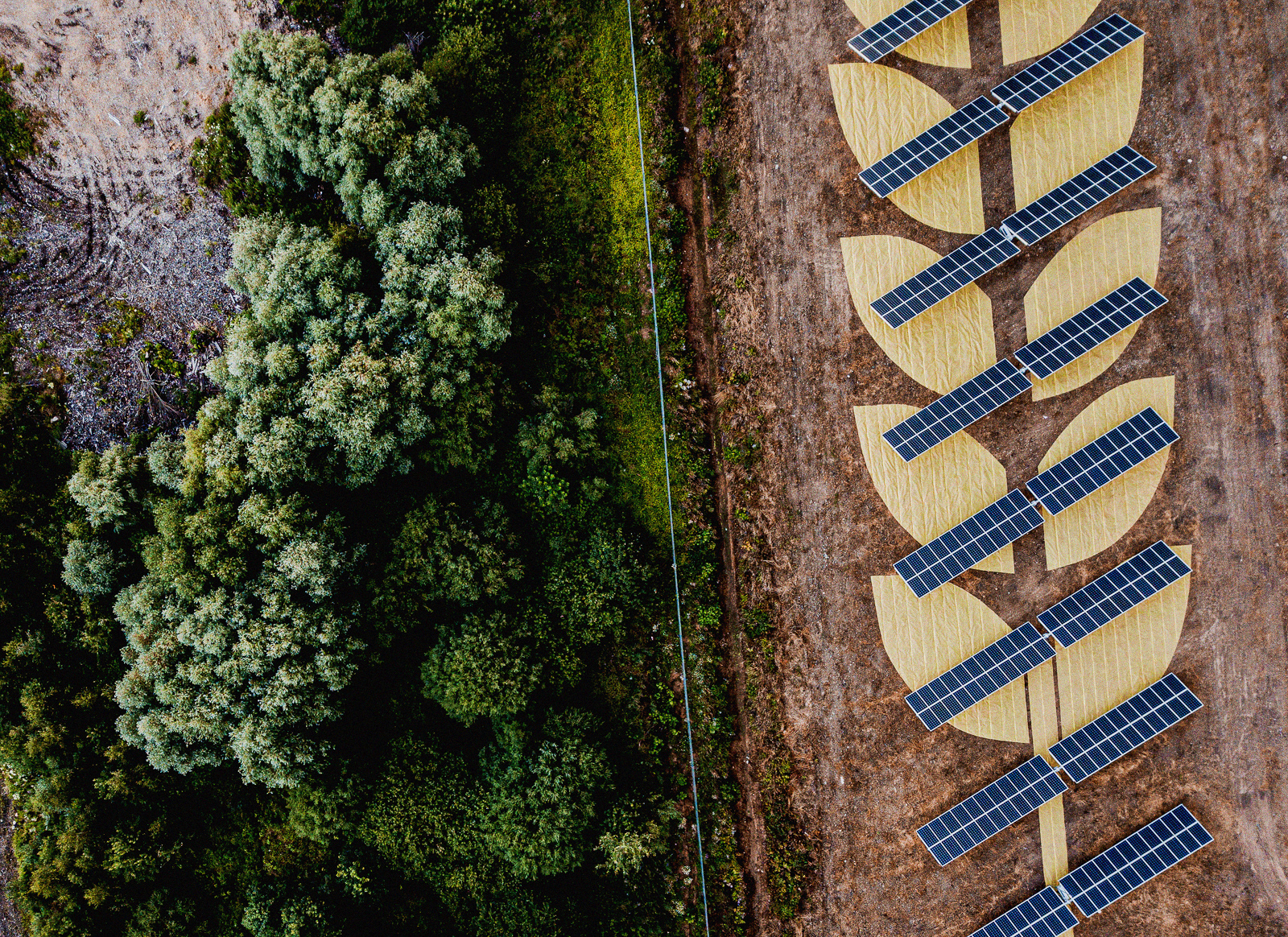 Nuo šiol visi Biržų duonos kepiniai gimę iš draugiškos saulės energijos