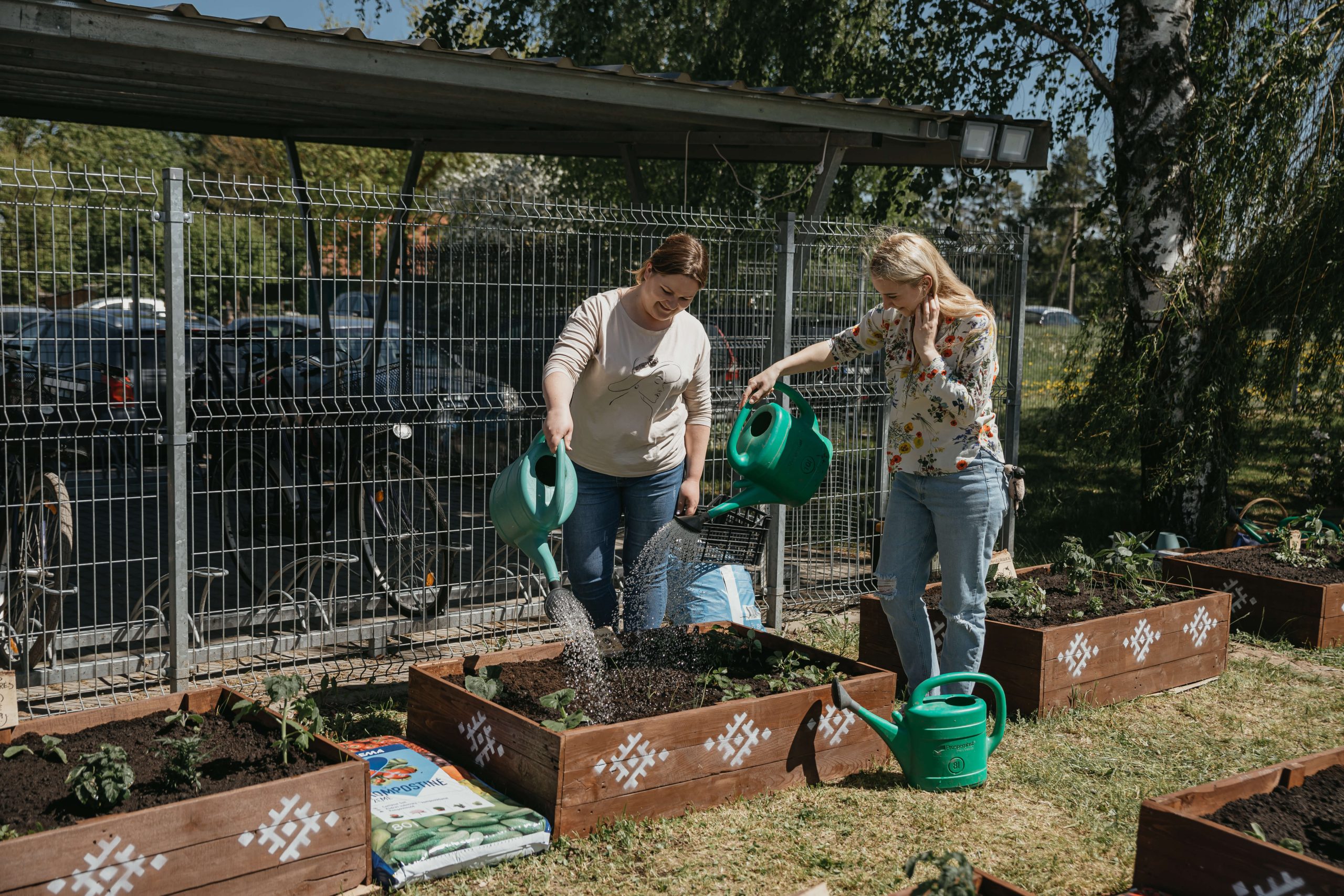 Tvarios idėjos: kartoninės dėžutės panaudojimas  darže ir ne tik 🌱