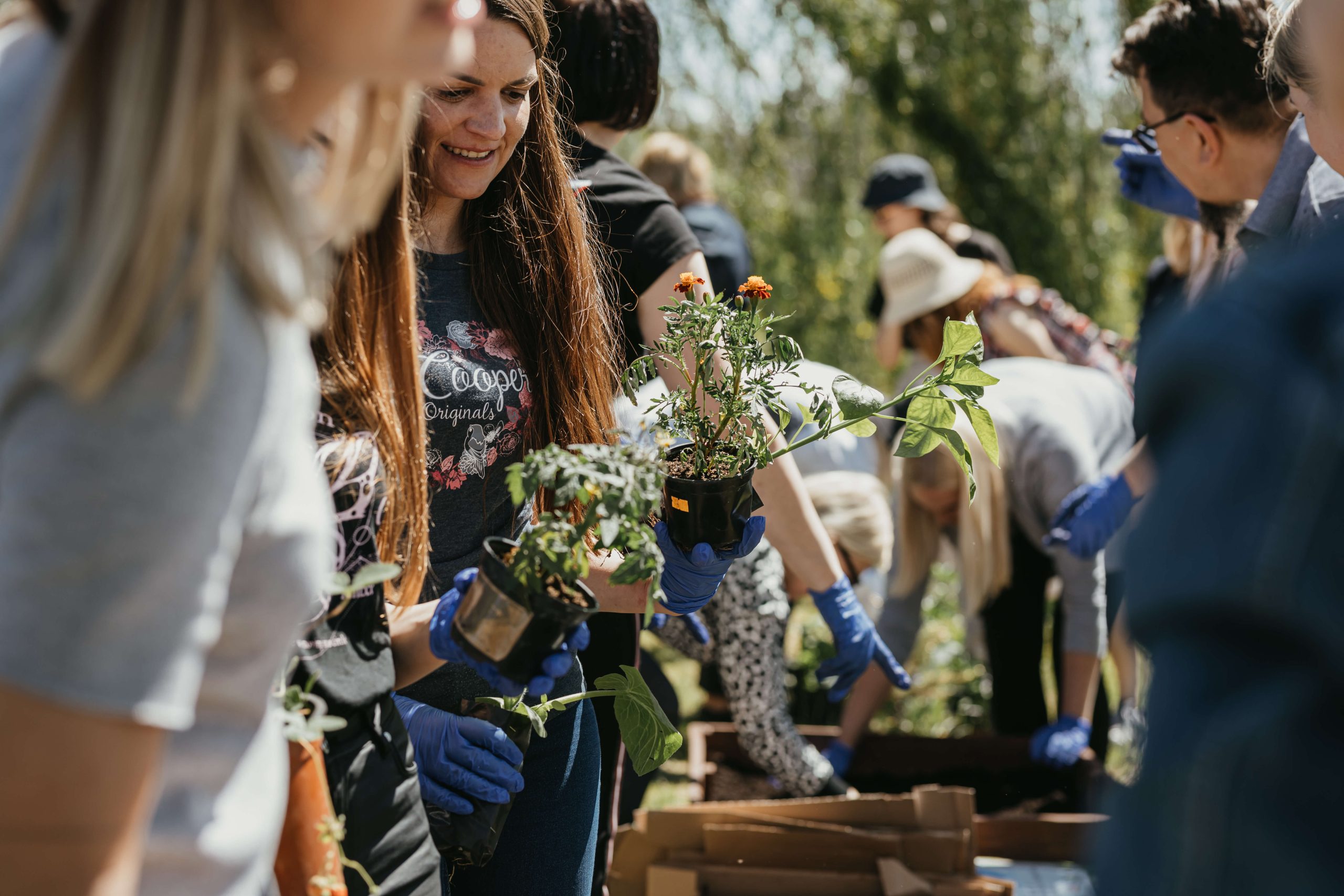 Tvarios idėjos: kartoninės dėžutės panaudojimas  darže ir ne tik 🌱