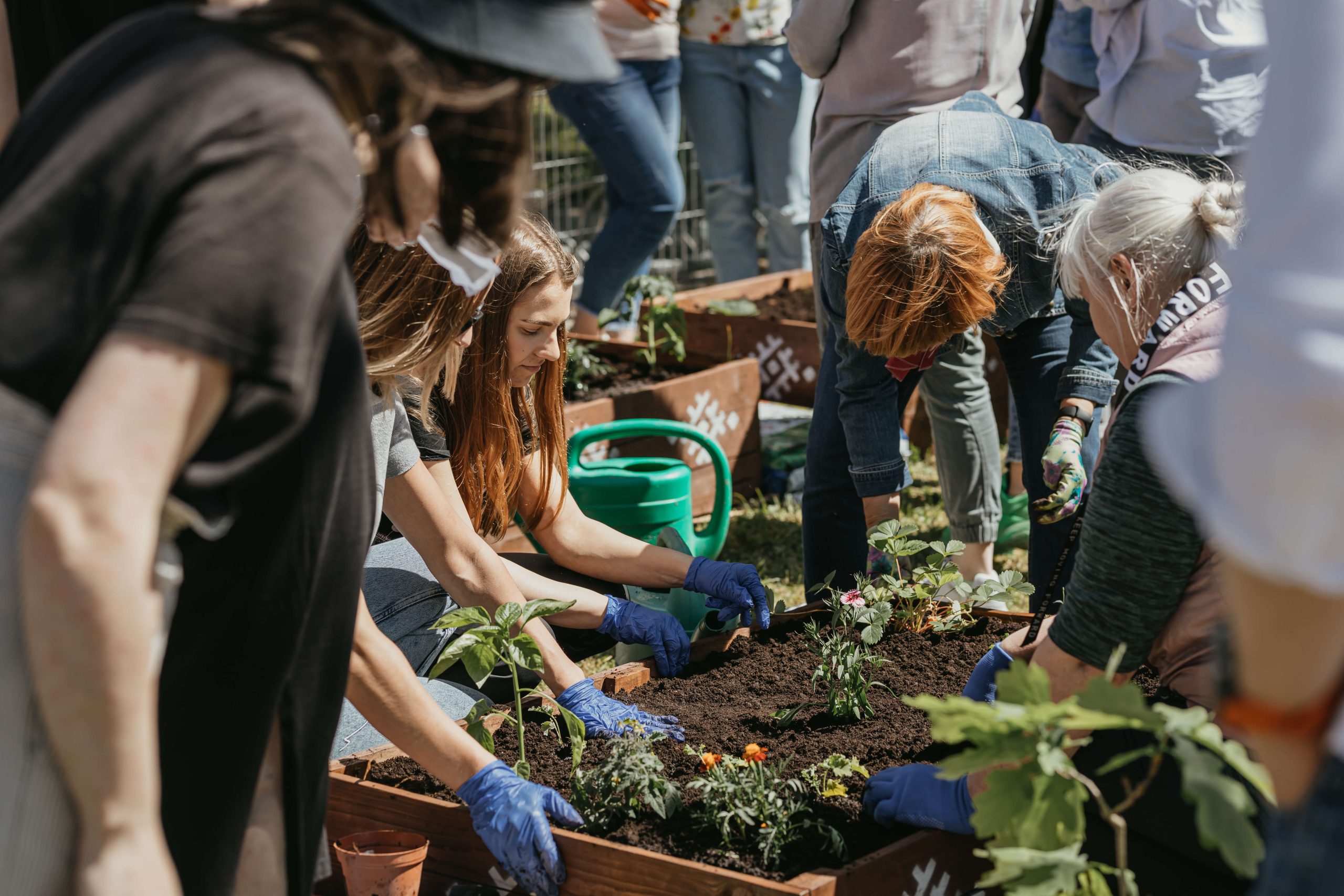 Tvarios idėjos: kartoninės dėžutės panaudojimas  darže ir ne tik 🌱