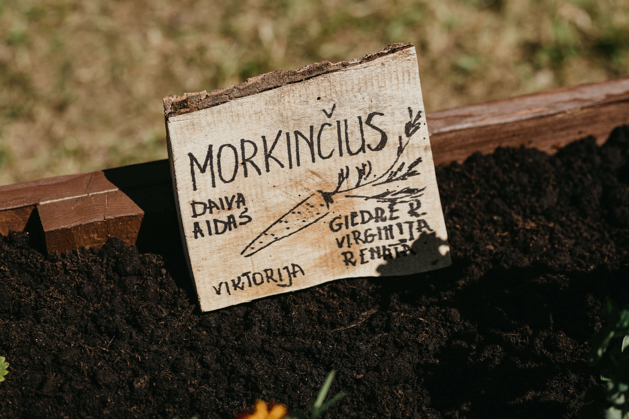 Tvarios idėjos: kartoninės dėžutės panaudojimas  darže ir ne tik 🌱