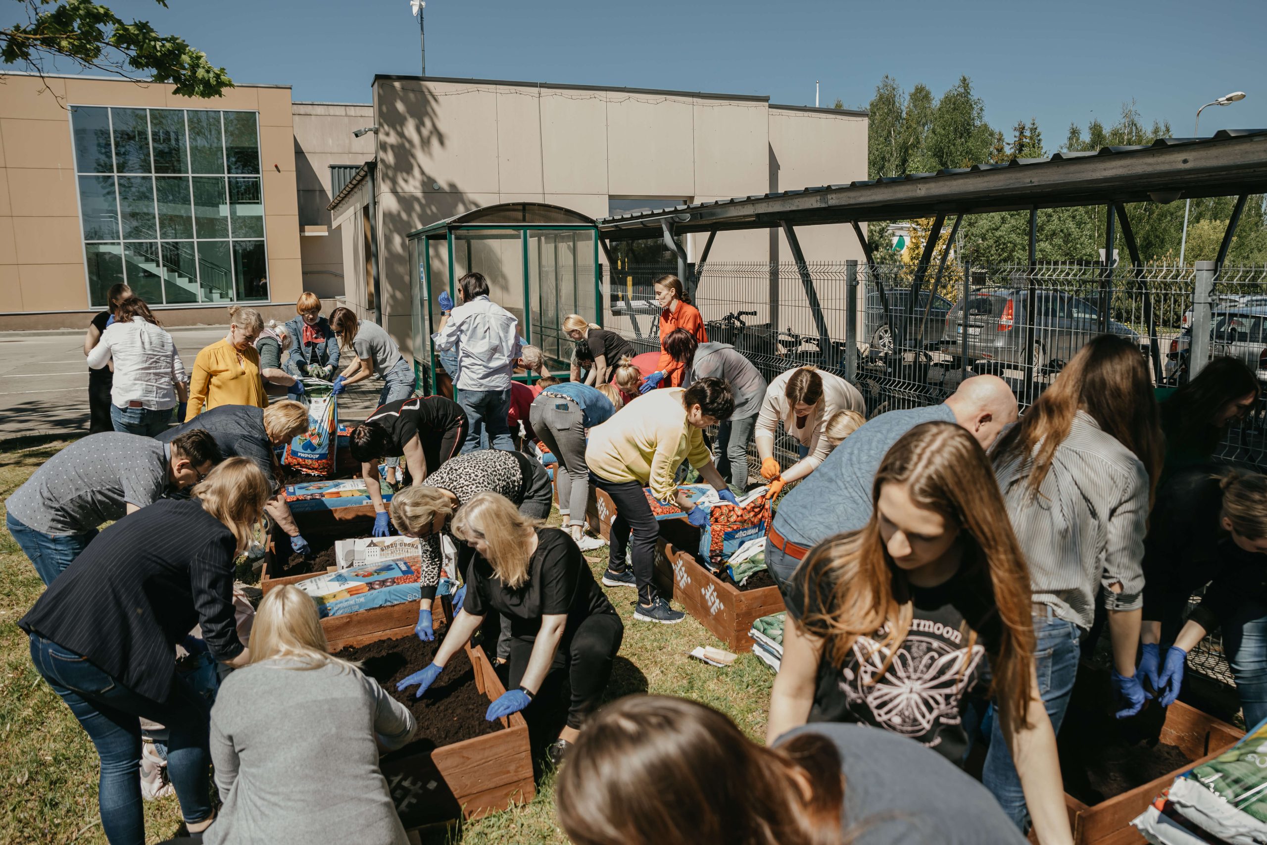 Tvarios idėjos: kartoninės dėžutės panaudojimas  darže ir ne tik 🌱